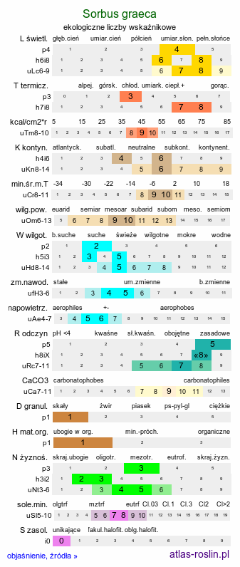 ekologiczne liczby wskaźnikowe Sorbus graeca (jarząb grecki)