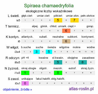 ekologiczne liczby wskaźnikowe Spiraea chamaedryfolia (tawuła ożankolistna)