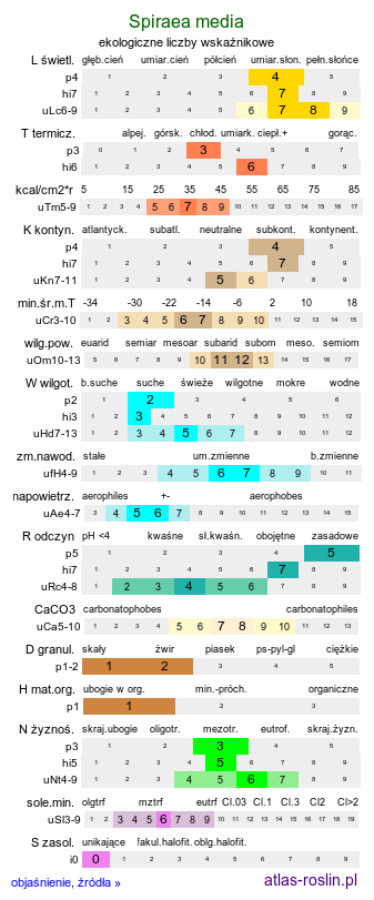 ekologiczne liczby wskaźnikowe Spiraea media (tawuła średnia)