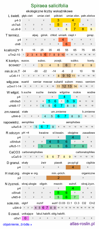 ekologiczne liczby wskaźnikowe Spiraea salicifolia (tawuła wierzbolistna)