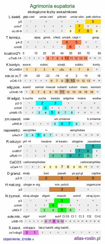 ekologiczne liczby wskaźnikowe Agrimonia eupatoria (rzepik pospolity)