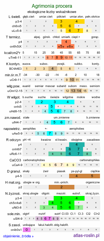 ekologiczne liczby wskaźnikowe Agrimonia procera (rzepik wonny)