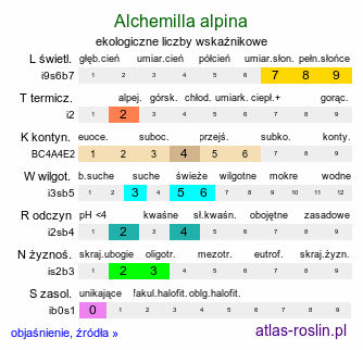 ekologiczne liczby wskaźnikowe Alchemilla alpina (przywrotnik alpejski)