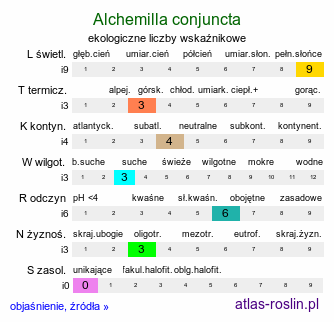 ekologiczne liczby wskaźnikowe Alchemilla conjuncta (przywrotnik zrosłoklapowy)