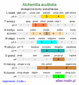 ekologiczne liczby wskaźnikowe Alchemilla acutiloba (przywrotnik ostroklapowy)