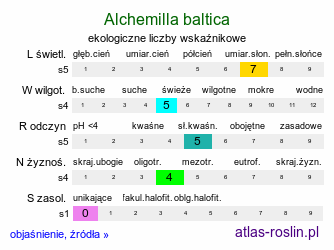 ekologiczne liczby wskaźnikowe Alchemilla baltica (przywrotnik przymglony)