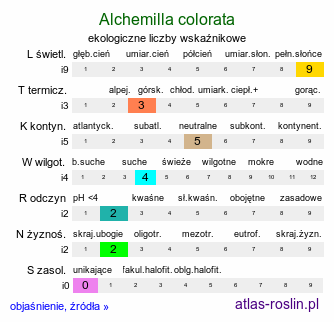 ekologiczne liczby wskaźnikowe Alchemilla colorata (przywrotnik zaczerwieniony)