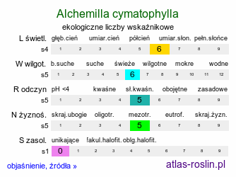 ekologiczne liczby wskaźnikowe Alchemilla cymatophylla (przywrotnik falistolistny)