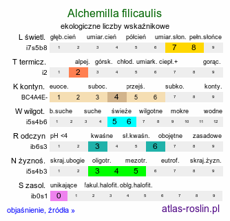 ekologiczne liczby wskaźnikowe Alchemilla filicaulis (przywrotnik delikatny)