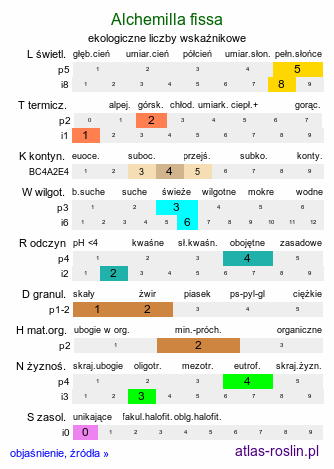 ekologiczne liczby wskaźnikowe Alchemilla fissa (przywrotnik rozcięty)