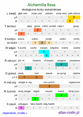 ekologiczne liczby wskaźnikowe Alchemilla fissa (przywrotnik rozcięty)