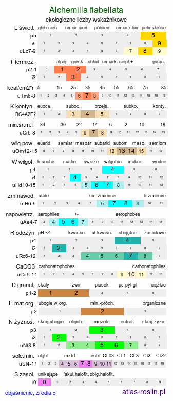 ekologiczne liczby wskaźnikowe Alchemilla flabellata (przywrotnik siwy)