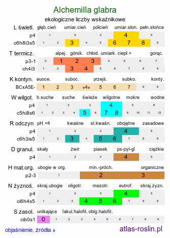 ekologiczne liczby wskaźnikowe Alchemilla glabra (przywrotnik prawie nagi)