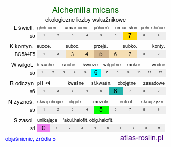 ekologiczne liczby wskaźnikowe Alchemilla micans (przywrotnik połyskujący)