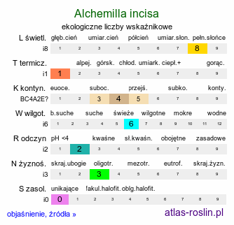 ekologiczne liczby wskaźnikowe Alchemilla incisa (przywrotnik wcięty)