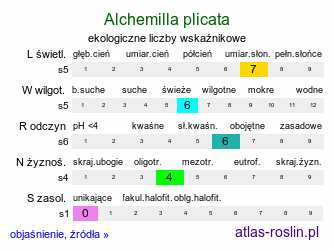 ekologiczne liczby wskaźnikowe Alchemilla plicata (przywrotnik płaskolistny)