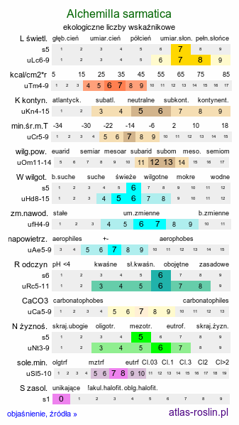 ekologiczne liczby wskaźnikowe Alchemilla sarmatica (przywrotnik sarmacki)