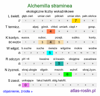 ekologiczne liczby wskaźnikowe Alchemilla straminea (przywrotnik płowy)