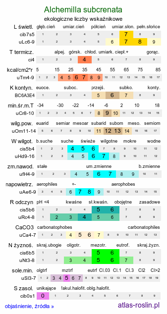 ekologiczne liczby wskaźnikowe Alchemilla subcrenata (przywrotnik karbowany)