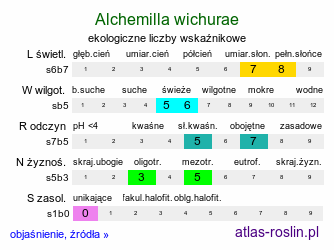 ekologiczne liczby wskaźnikowe Alchemilla wichurae (przywrotnik Wichury)