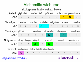 ekologiczne liczby wskaźnikowe Alchemilla wichurae (przywrotnik Wichury)