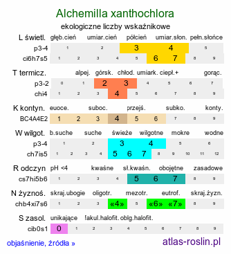 ekologiczne liczby wskaźnikowe Alchemilla xanthochlora (przywrotnik żółtawozielony)