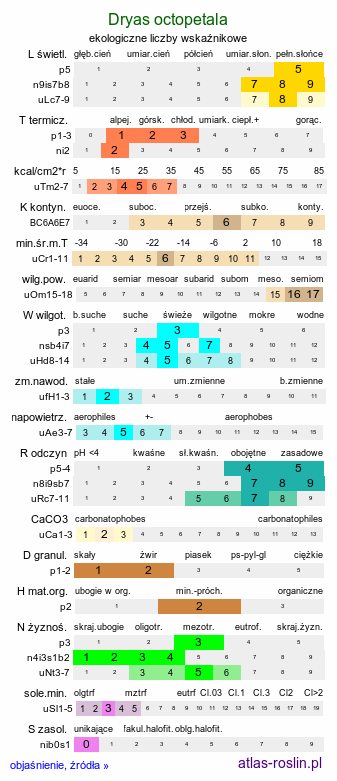 ekologiczne liczby wskaźnikowe Dryas octopetala (dębik ośmiopłatkowy)