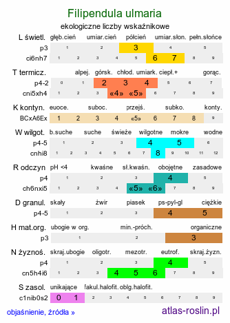 ekologiczne liczby wskaźnikowe Filipendula ulmaria (wiązówka błotna)