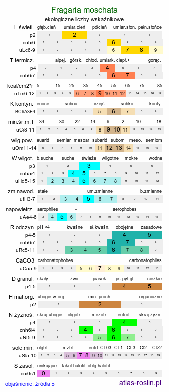 ekologiczne liczby wskaźnikowe Fragaria moschata (poziomka wysoka)