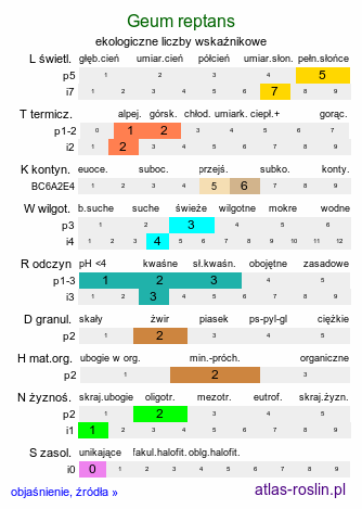 ekologiczne liczby wskaźnikowe Geum reptans (kuklik rozesłany)