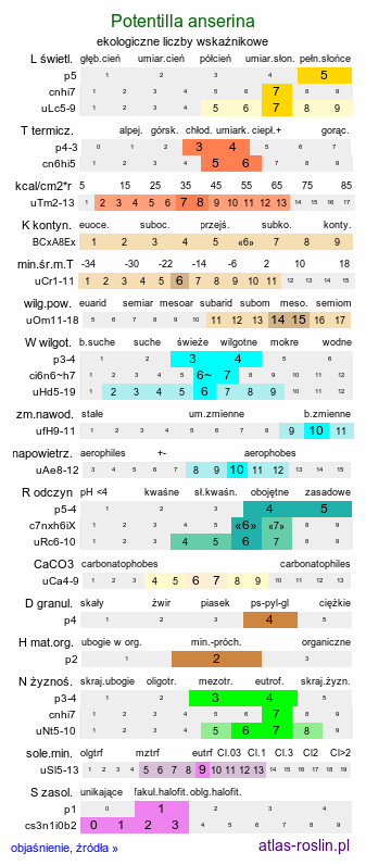 ekologiczne liczby wskaźnikowe Potentilla anserina (pięciornik gęsi)