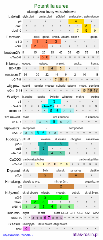 ekologiczne liczby wskaźnikowe Potentilla aurea (pięciornik złoty)
