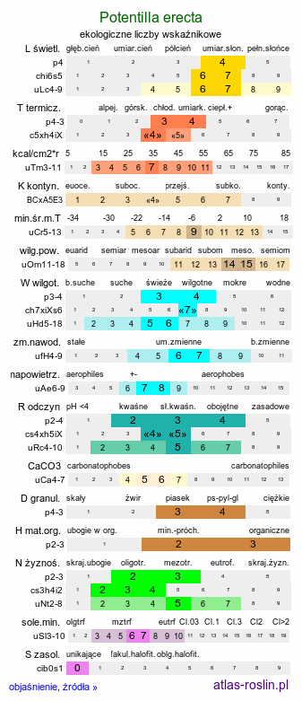 ekologiczne liczby wskaźnikowe Potentilla erecta (pięciornik kurze ziele)