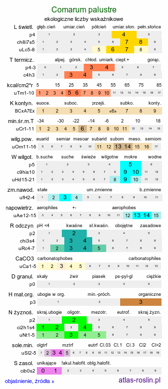 ekologiczne liczby wskaźnikowe Comarum palustre (siedmiopalecznik błotny)
