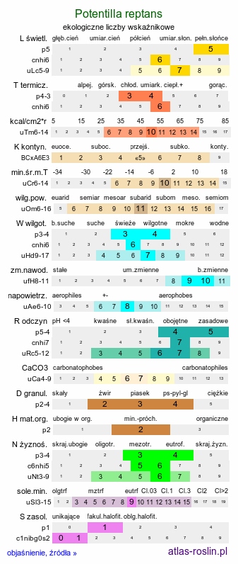 ekologiczne liczby wskaźnikowe Potentilla reptans (pięciornik rozłogowy)