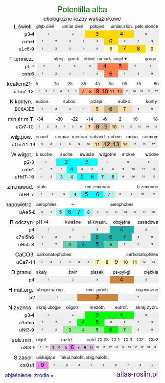 ekologiczne liczby wskaźnikowe Potentilla alba (pięciornik biały)