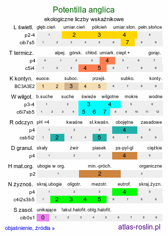 ekologiczne liczby wskaźnikowe Potentilla anglica (pięciornik rozścielony)