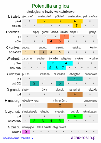 ekologiczne liczby wskaźnikowe Potentilla anglica (pięciornik rozścielony)