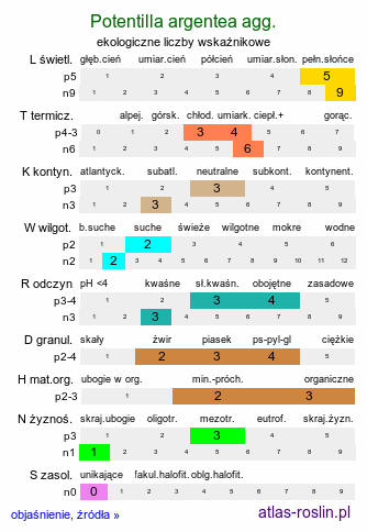 ekologiczne liczby wskaźnikowe Potentilla argentea agg. (pięciornik srebrny  agg.)