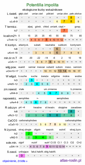 ekologiczne liczby wskaźnikowe Potentilla impolita (pięciornik wygładzony)