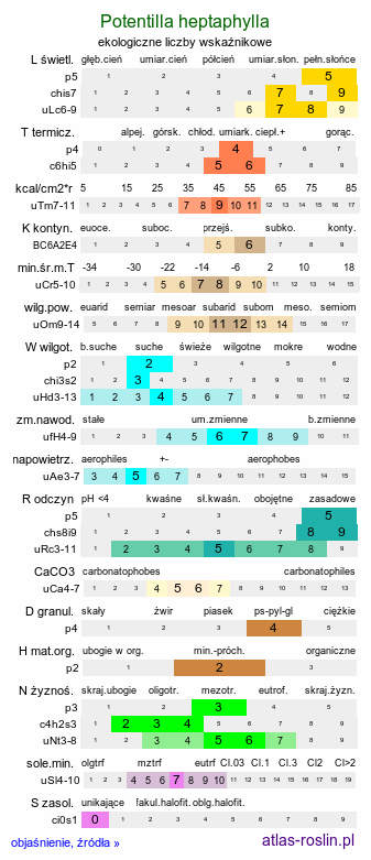 ekologiczne liczby wskaźnikowe Potentilla heptaphylla (pięciornik siedmiolistkowy)