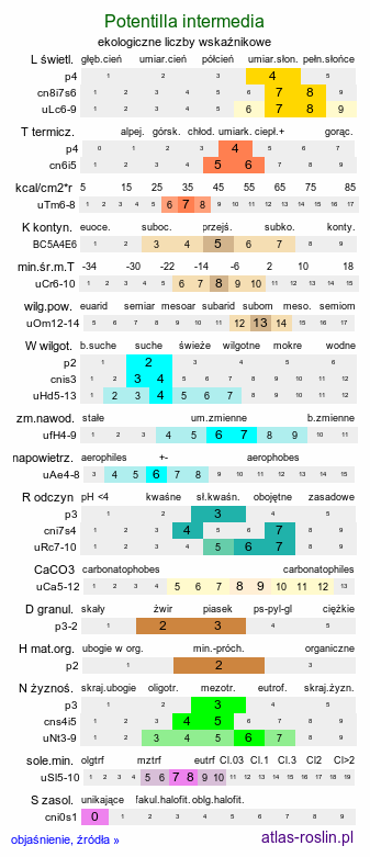 ekologiczne liczby wskaźnikowe Potentilla intermedia (pięciornik pośredni)