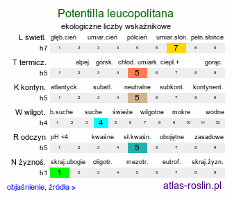 ekologiczne liczby wskaźnikowe Potentilla leucopolitana (pięciornik jedwabisty)