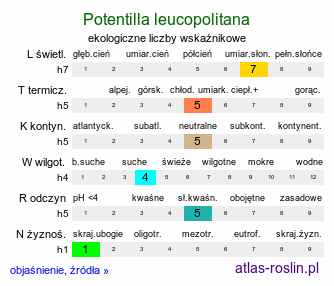 ekologiczne liczby wskaźnikowe Potentilla leucopolitana (pięciornik jedwabisty)