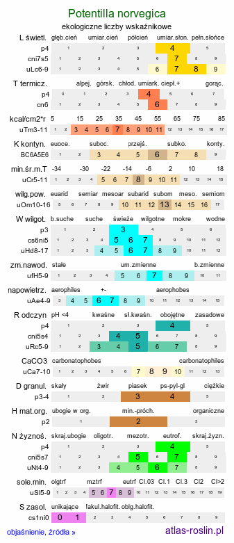 ekologiczne liczby wskaźnikowe Potentilla norvegica (pięciornik norweski)