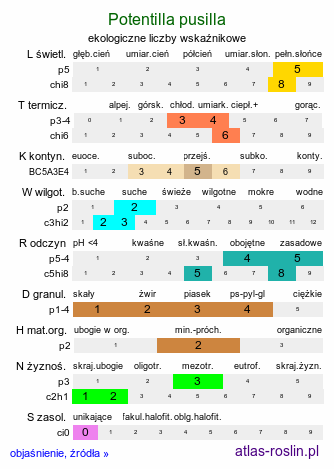 ekologiczne liczby wskaźnikowe Potentilla pusilla (pięciornik omszony)