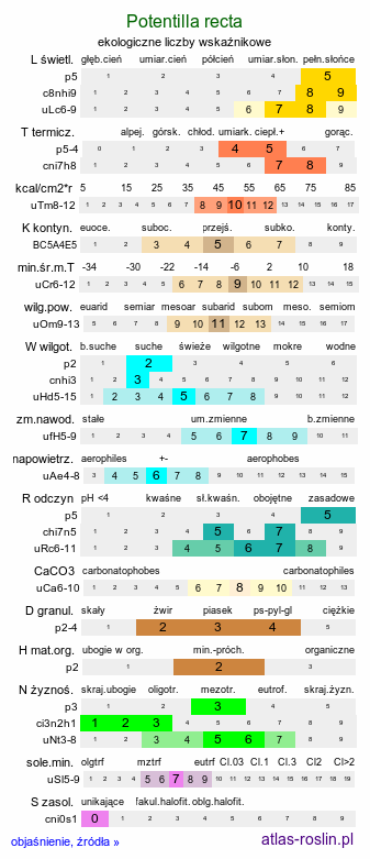 ekologiczne liczby wskaźnikowe Potentilla recta (pięciornik wyprostowany)