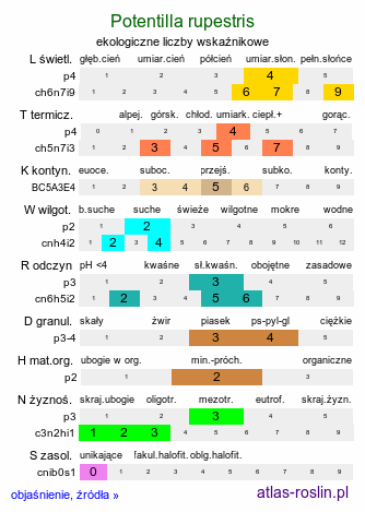 ekologiczne liczby wskaźnikowe Potentilla rupestris (pięciornik skalny)