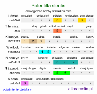 ekologiczne liczby wskaźnikowe Potentilla sterilis (pięciornik płonny)