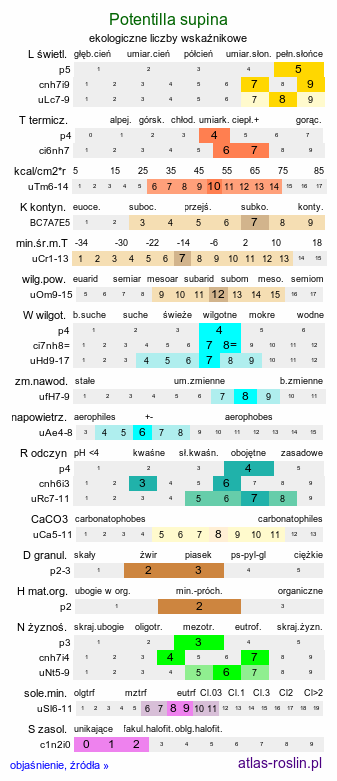 ekologiczne liczby wskaźnikowe Potentilla supina (pięciornik niski)